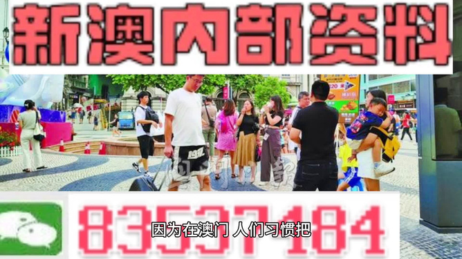 新澳门资料大全正版资料2024年免费下载,家野中特_快速解答方案执行_微型版63.426