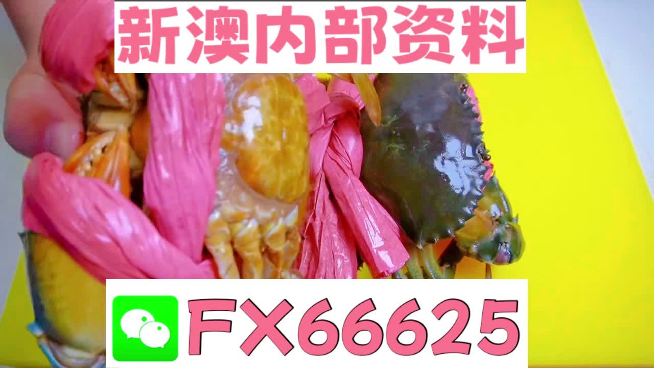 新澳资料免费精准期期准_数据分析驱动决策_VR41.655