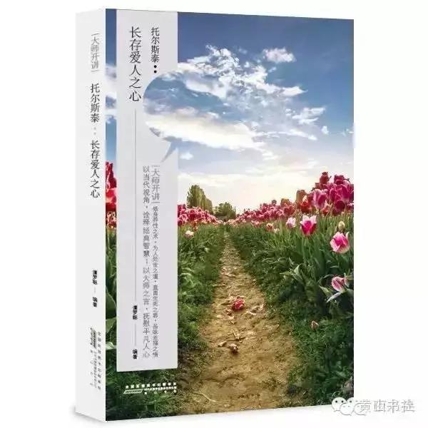 暗夜君王最新章节，勇者探寻神秘世界之旅与方案实施评估（云端版23.39）