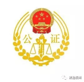 公证改革重塑公正高效透明法律服务新生态，数据驱动策略下的策略精装版报告