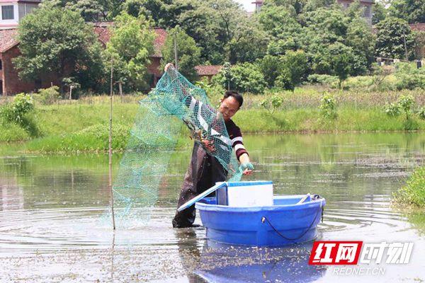 邵东创业新村，繁荣生态下的新机遇与挑战——高速响应解决方案影像报告 93.837版