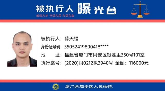 同安虾米网最新新闻报道，城市脉动与生活色彩数据设计支持计划经典版发布报告