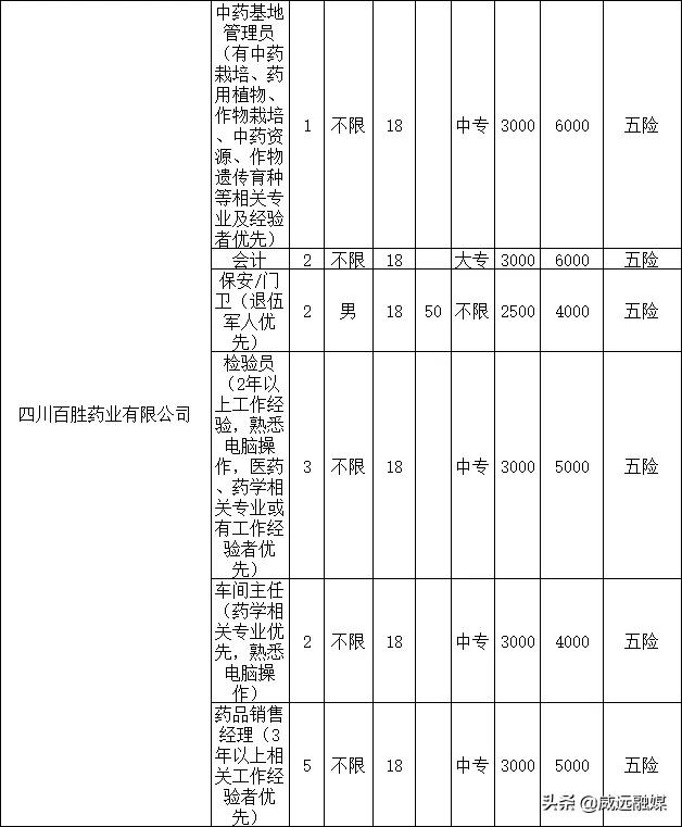 威远最新招聘热潮，探索职业发展，复古岗位研究定义综合解读